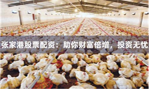张家港股票配资：助你财富倍增，投资无忧