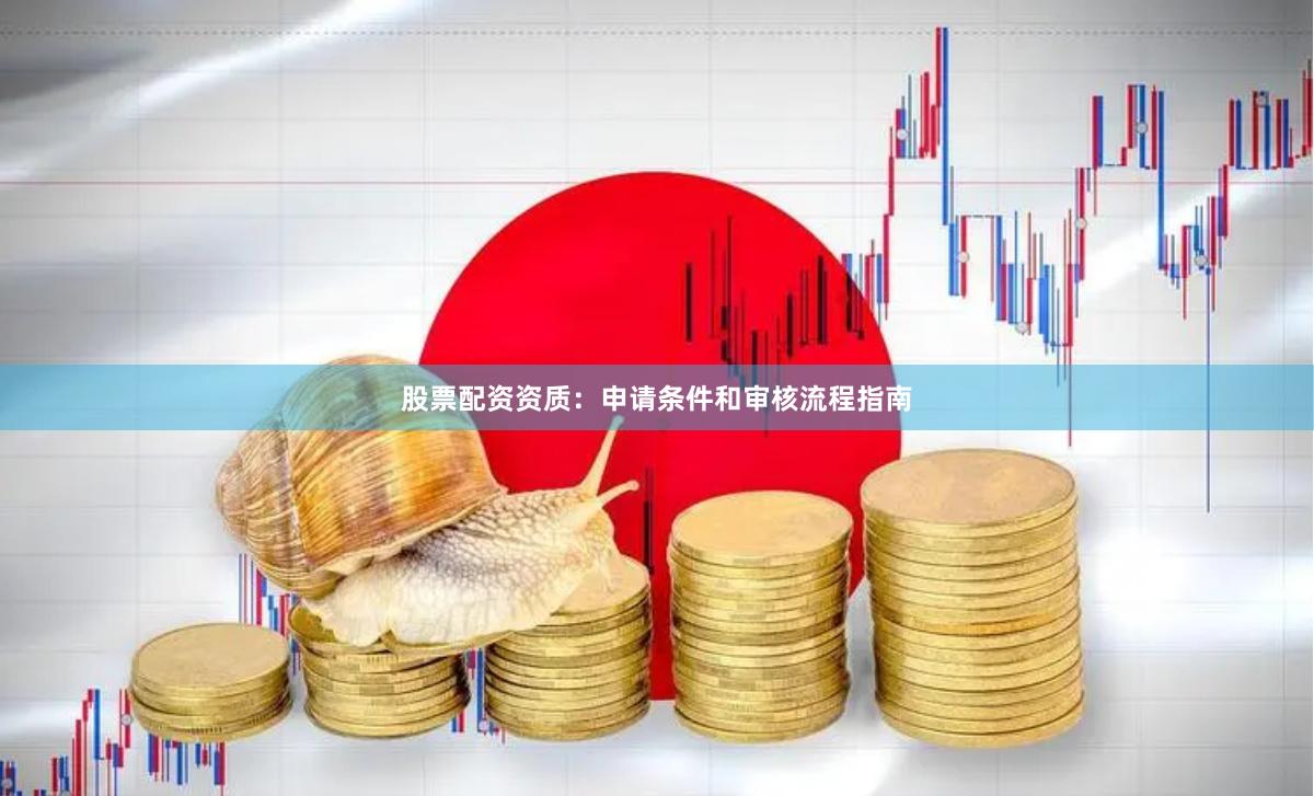 股票配资资质：申请条件和审核流程指南