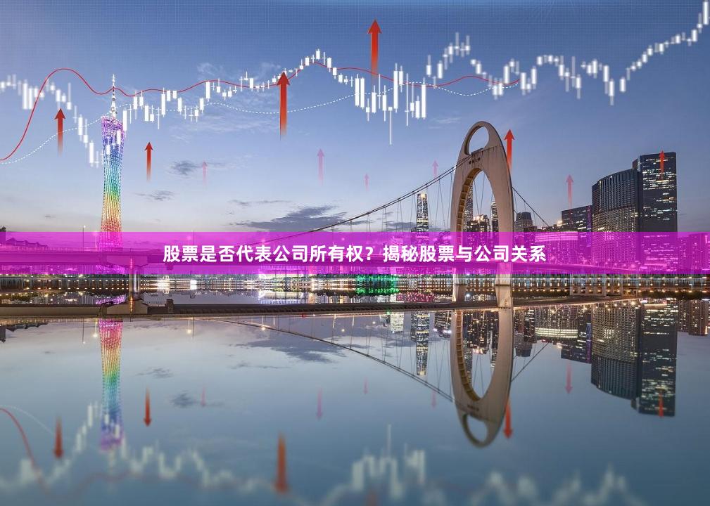 股票是否代表公司所有权？揭秘股票与公司关系