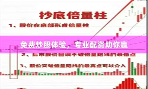免费炒股体验,专业配资助你赢
