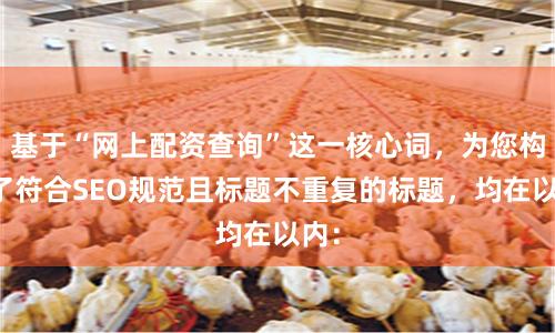基于“网上配资查询”这一核心词，为您构思了符合SEO规范且标题不重复的标题，均在以内：